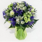 Blue Eden